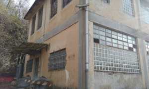 grassi270