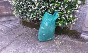 gravel raccolta rifiuti copertina