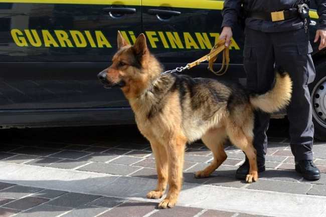 insieme legalita