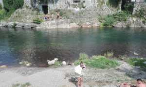 isolone