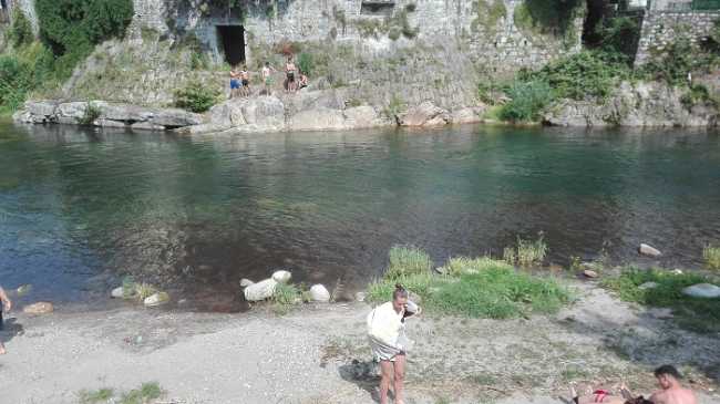 isolone