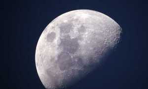 luna foto