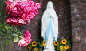 madonna di louredes1gozzano270