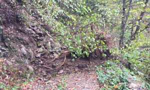 maltempo pettenasco ottobre2018