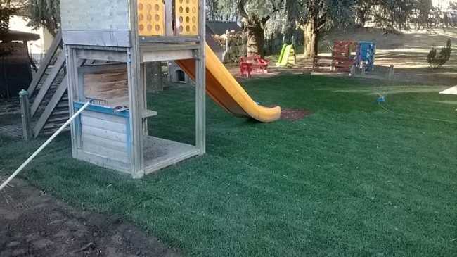 manto erboso girotondo