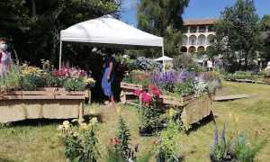 menta e rosmarino 2020