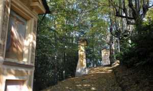 mesma riserva