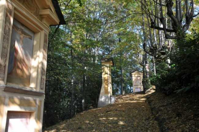 mesma riserva