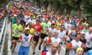 mezza vco 2015