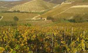 monferrato270