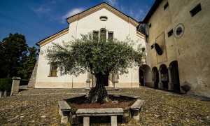 monte Mesma