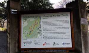 montezuoli 12marzo