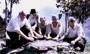 montezuoli 1985