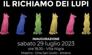 mostra miasino