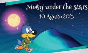 motty under stars