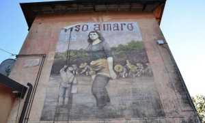 murale riso amaro foto