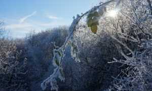 nevica270