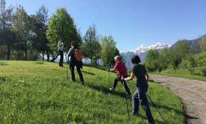 nordic walking