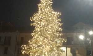 omegna accensione albero