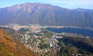 omegna generico