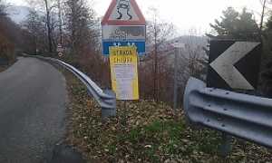 ordinanzaalberi270