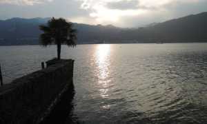 orta in giallo