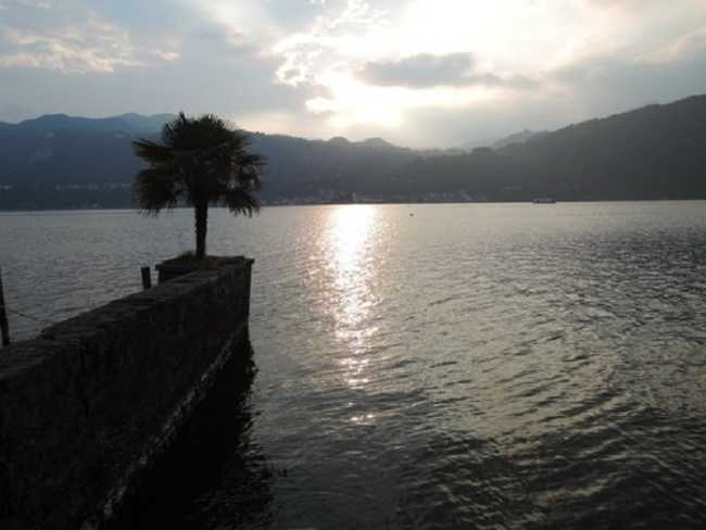 orta in giallo