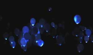 palloncini blu