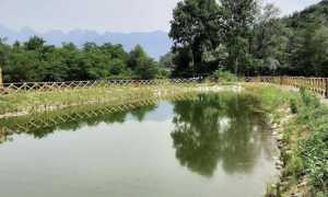 parco fluviale casale cc 1