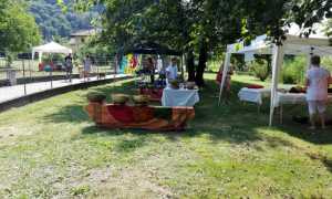 pett copertin benessere