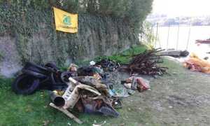 pettenasco 1