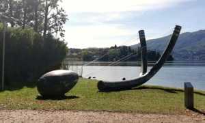 pettenasco fionda