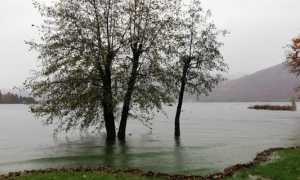 pettenasco lago