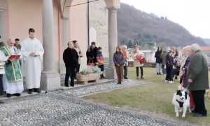 pettenasco s antonio 2023