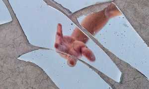 pexels photo 3022456