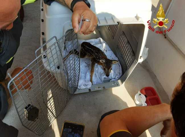 photo1686820951