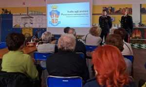 photo 2025 02 01 09 09 01