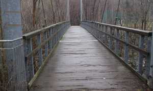 ponte boschina