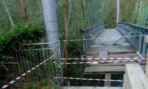 ponte boschina