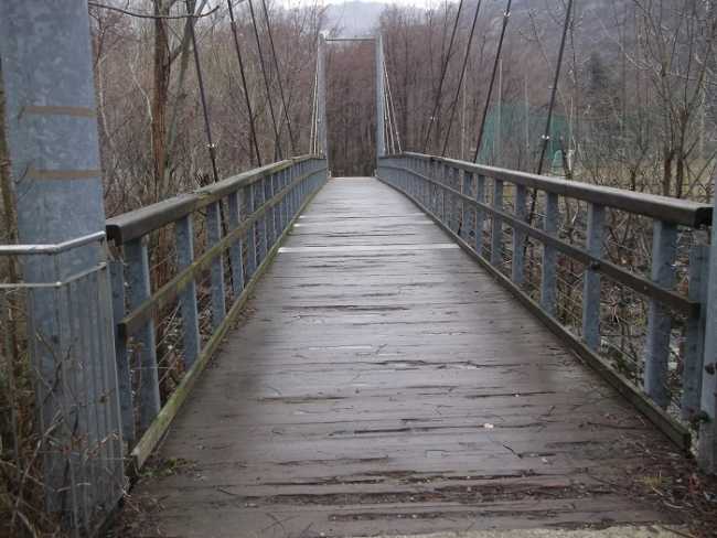ponte boschina
