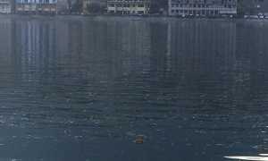 potatura lago