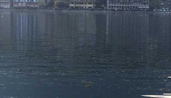 potatura lago