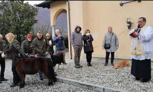 s. antonio 3