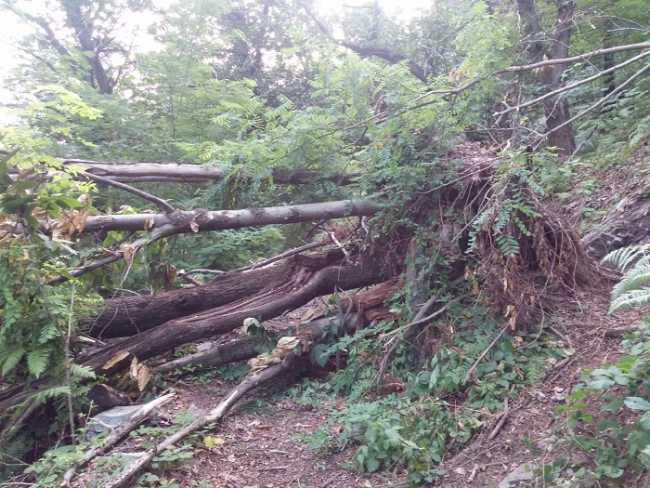 sentierocrabbia pettenasco