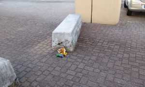 sporcizia forum omegna