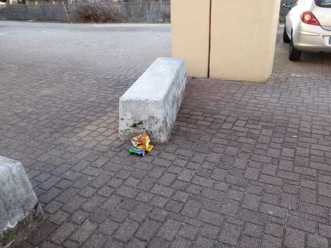 sporcizia forum omegna