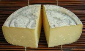 toma piemontese