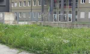 verde pubblico omegna