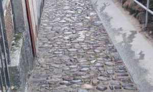 via verrua borca