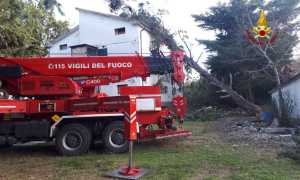 vigili del fuoco